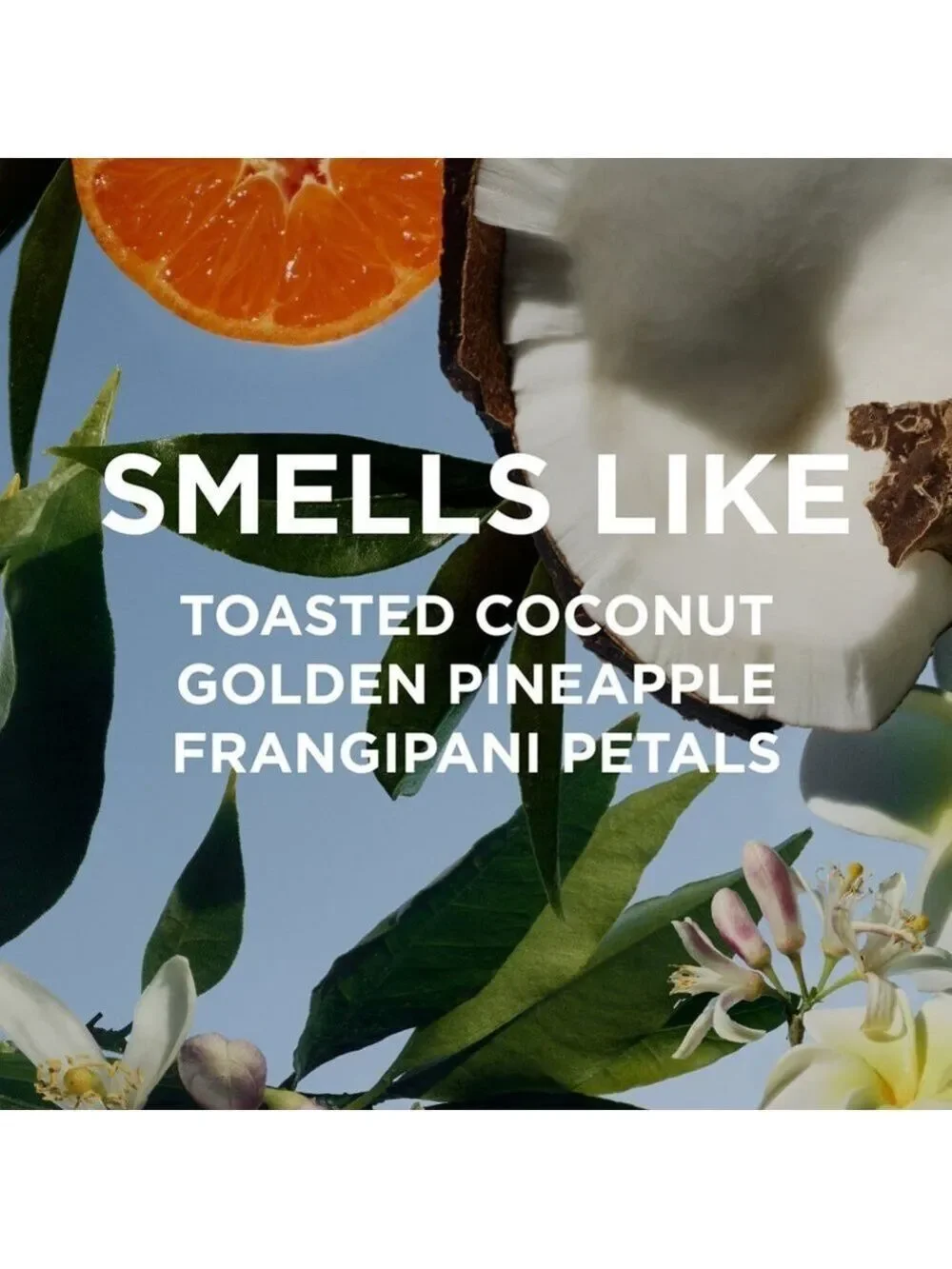 MISSY by/Rosie Jane | NEW | Travel Fragrance | by Rosie Jane